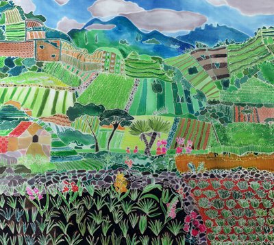 Cabbages and Lilies, Solola Region, Guatemala by Hilary Simon
